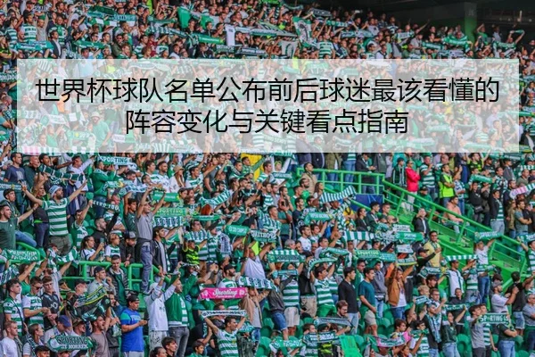 世界杯球队名单公布前后球迷最该看懂的阵容变化与关键看点指南